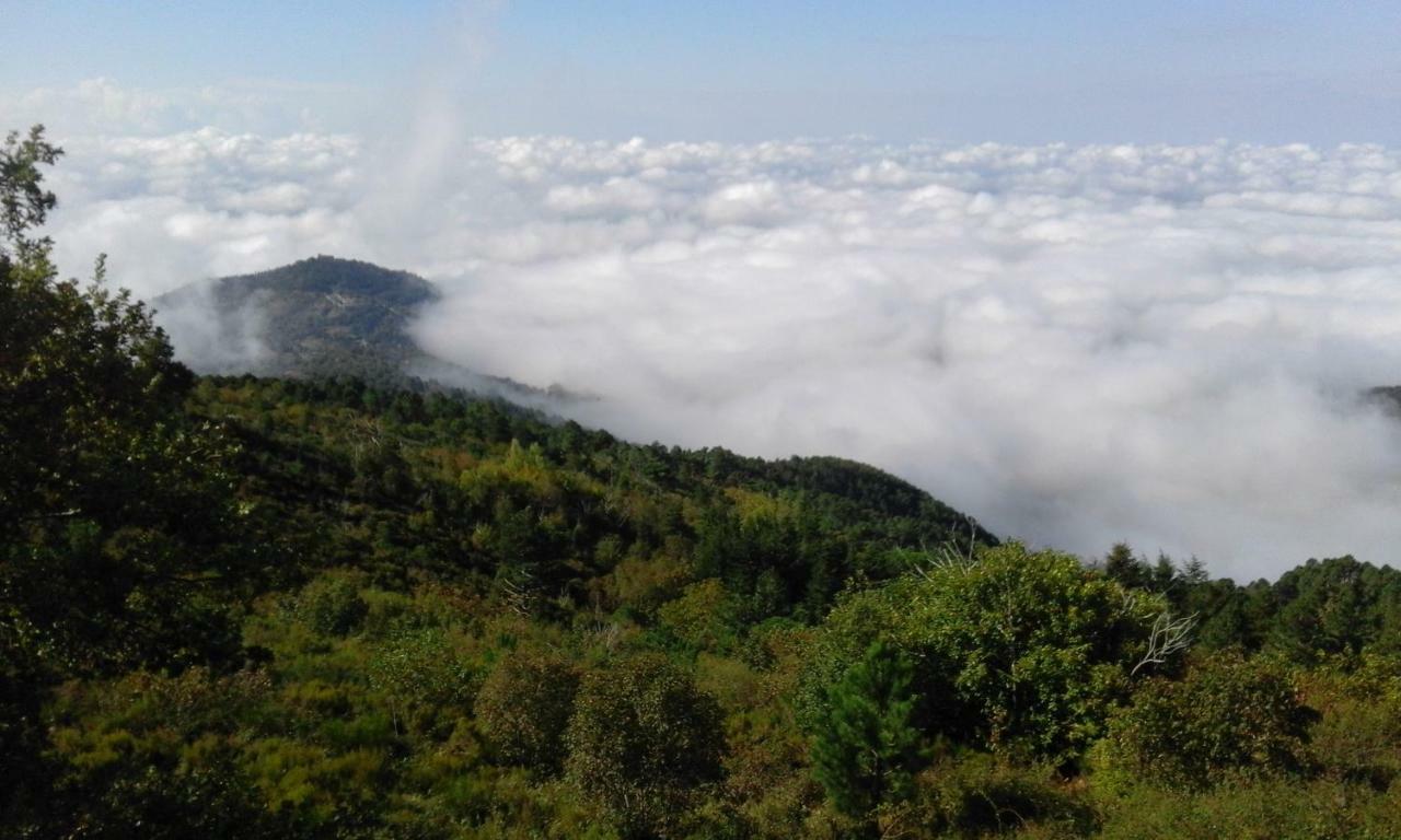 La Casa Gialla Belvedere Cortona Zewnętrze zdjęcie