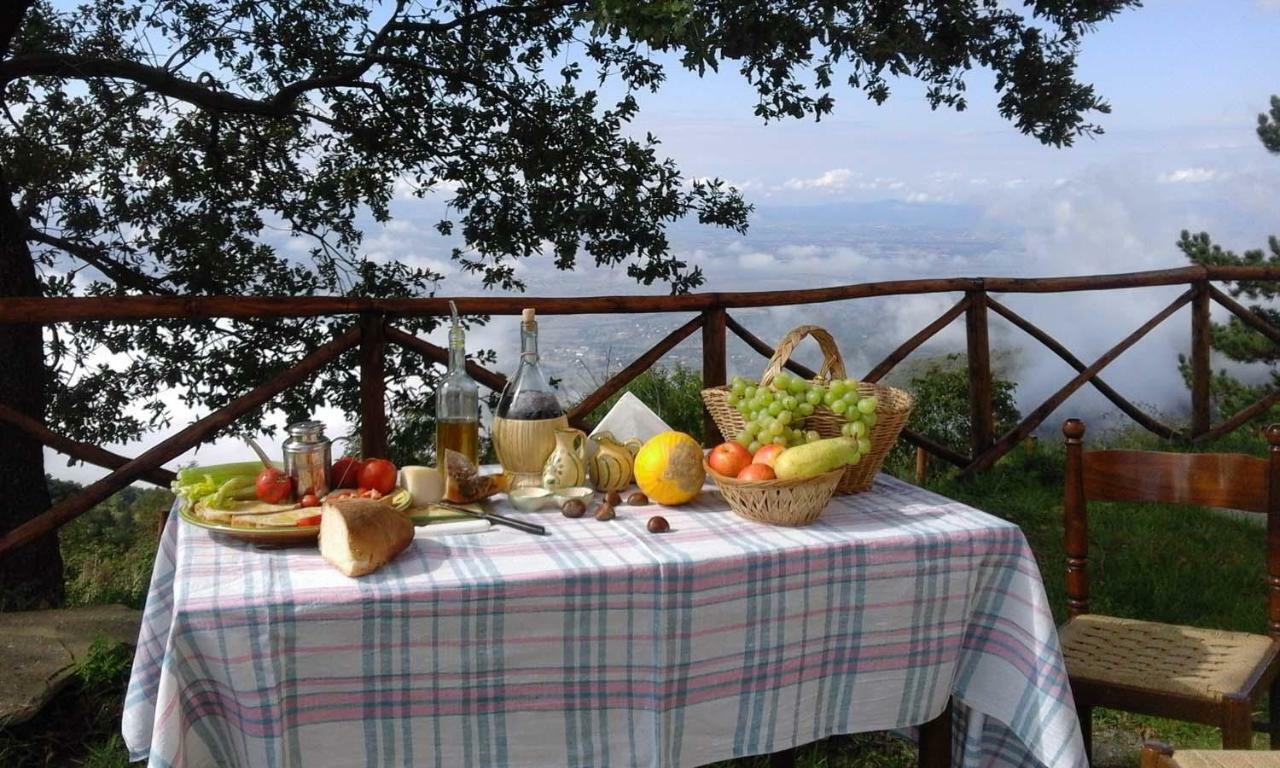 La Casa Gialla Belvedere Cortona Zewnętrze zdjęcie