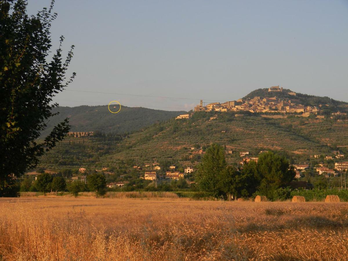 La Casa Gialla Belvedere Cortona Zewnętrze zdjęcie
