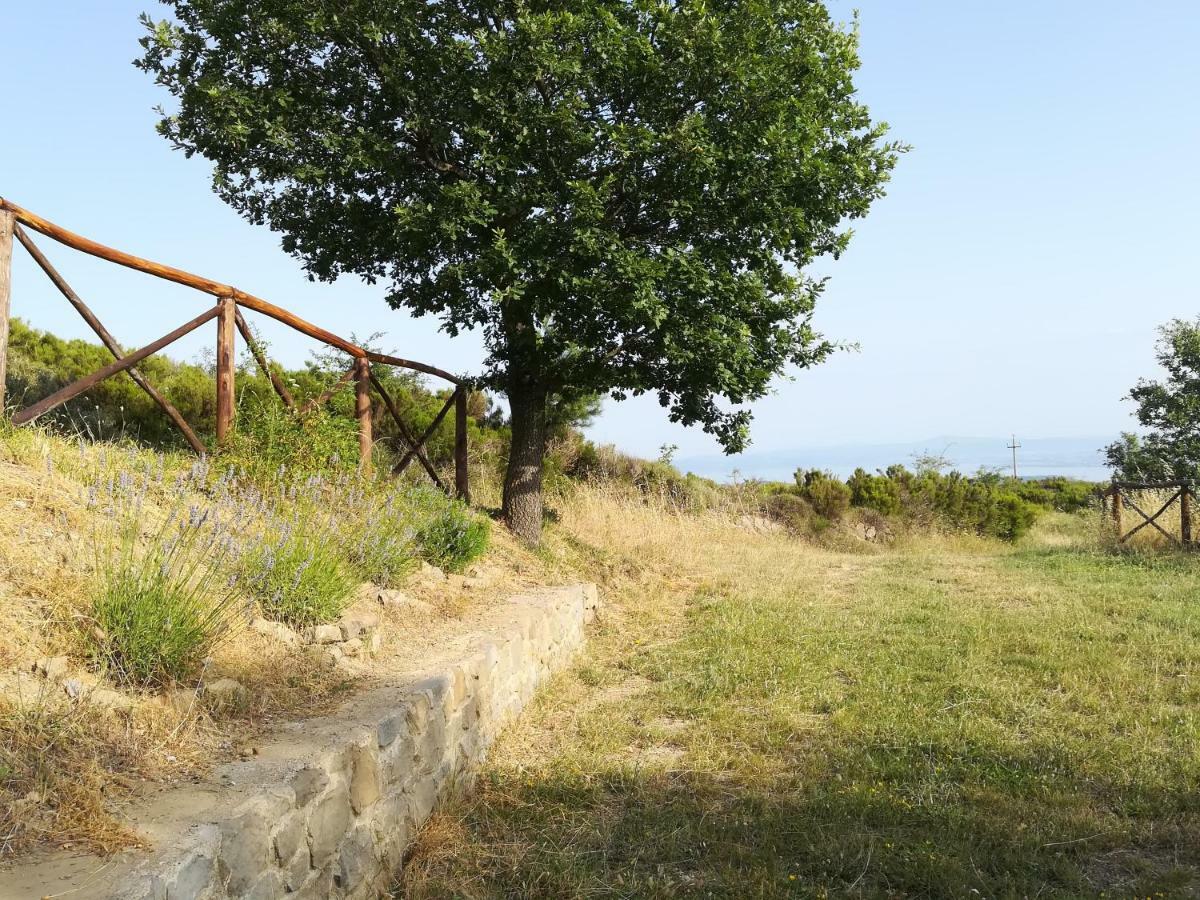 La Casa Gialla Belvedere Cortona Zewnętrze zdjęcie